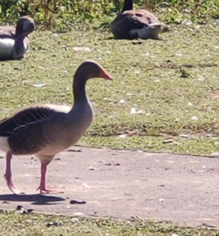 Colwick Country Park-Colwick必去景点