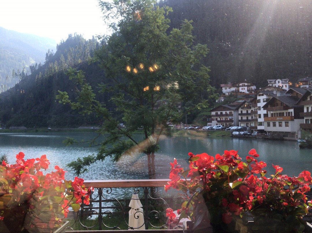 Albergo Savoia主图