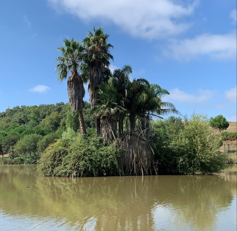 Parque Dos Monges主图