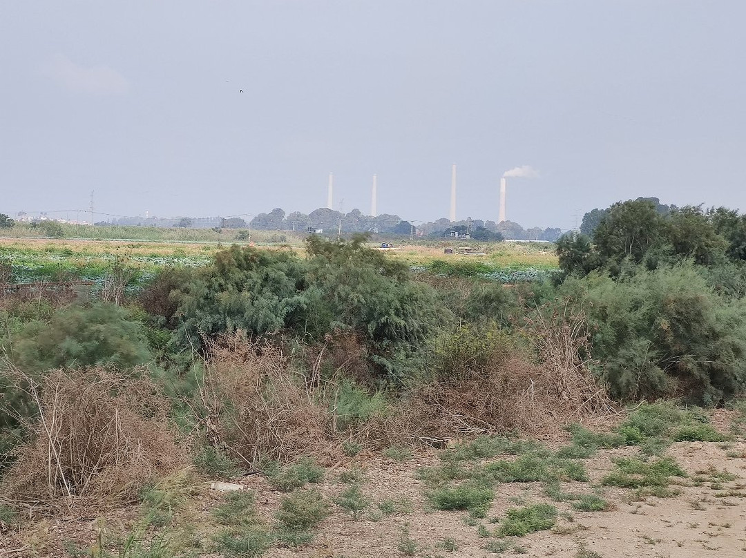 Hadera River Park-Hadera必去景点