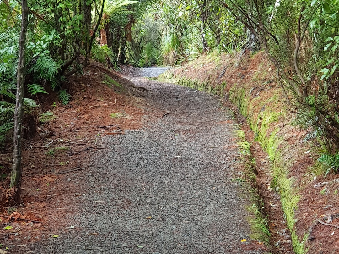 Coal Creek Track景点图片