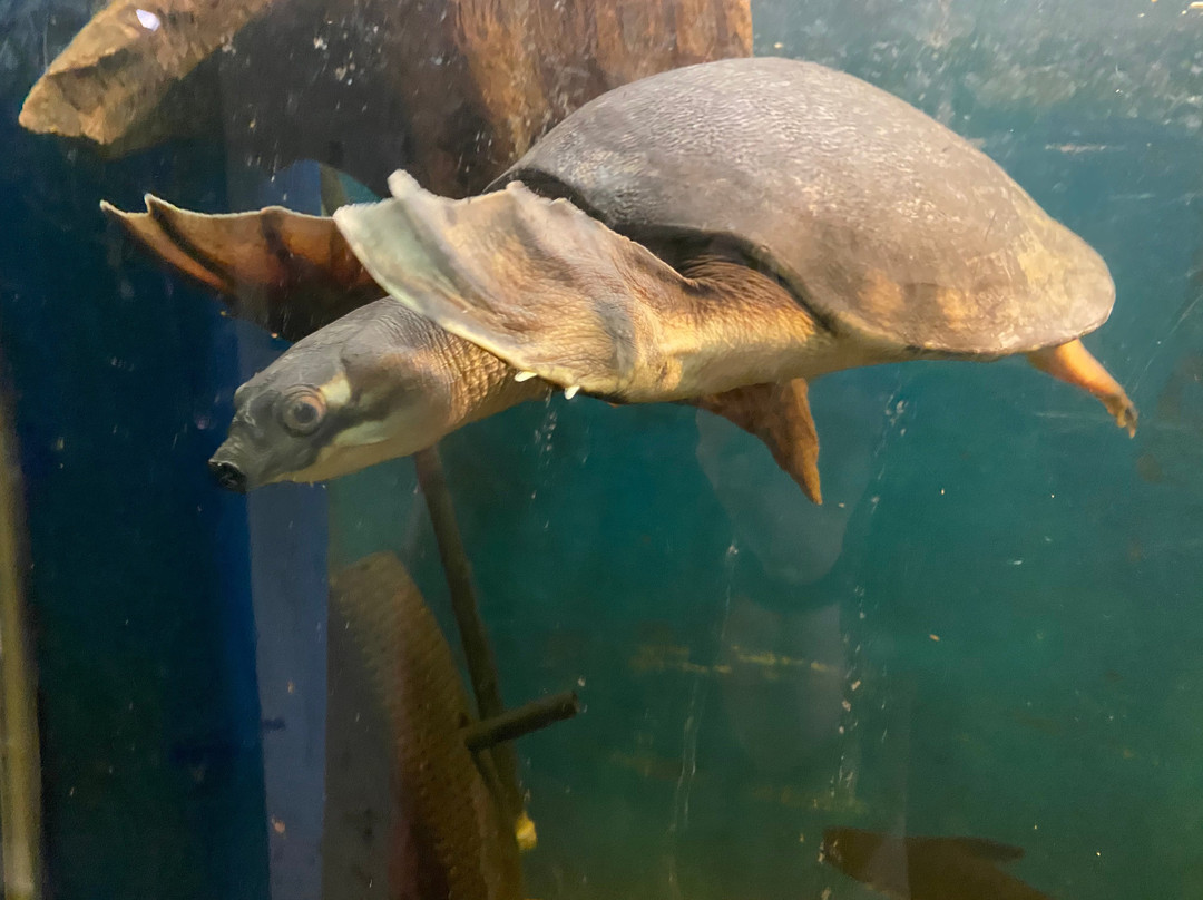 Exotarium: Ferme de Reptiles-Saint-Eustache必去景点
