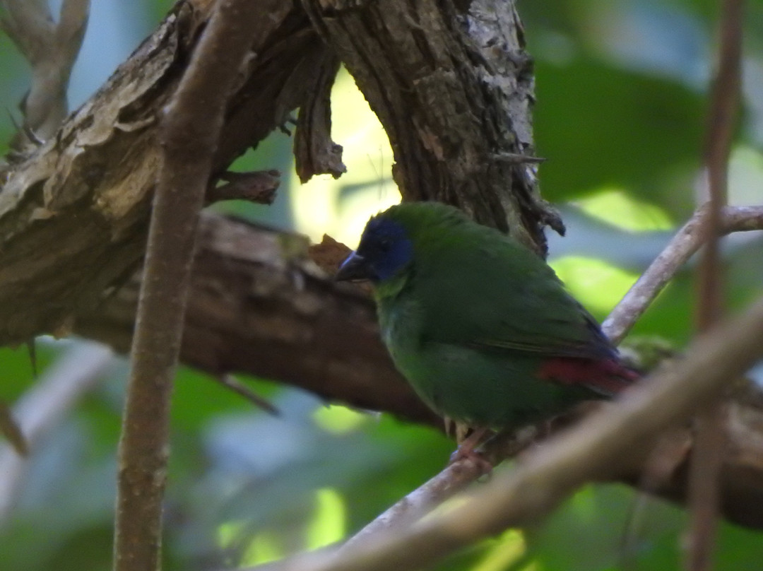 Great Northern Tours-库克敦必去景点