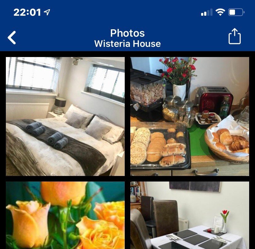 Wisteria House主图