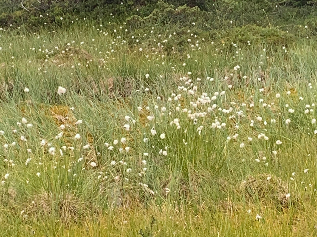 Lövåsgårdens Fjällhotell主图