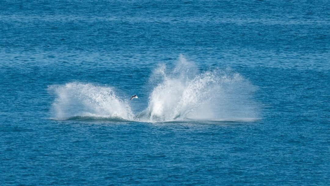 Eden Guesthouse B&B主图