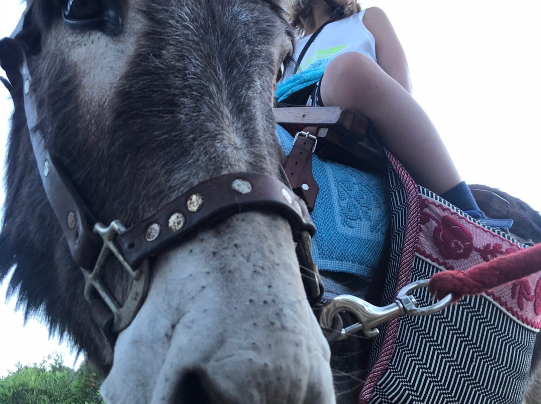 Trekking Someggiato-Santa Maria Navarrese必去景点