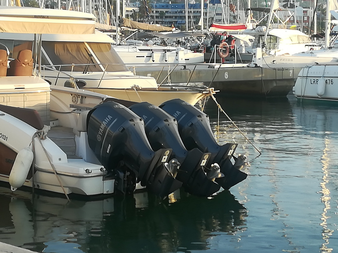 Marina el Portet de Denia景点图片