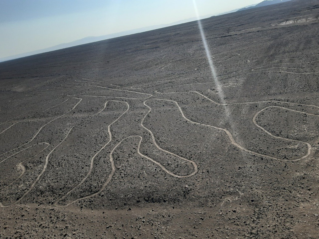 Piura Aventura-Piura必去景点