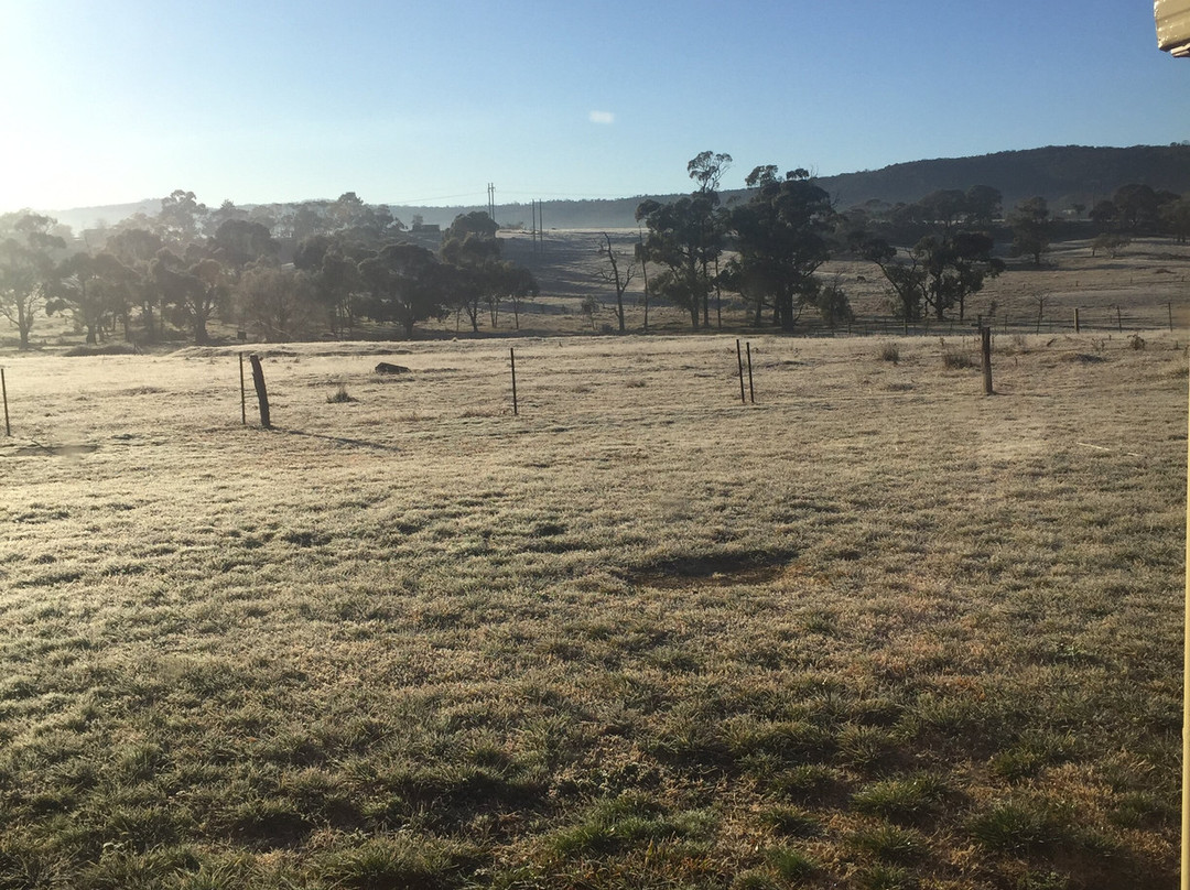 利特高殖民地汽车旅馆主图