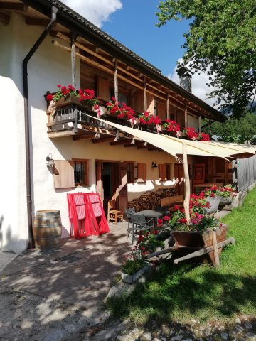 Agritur Dalaip dei Pape-餐饮