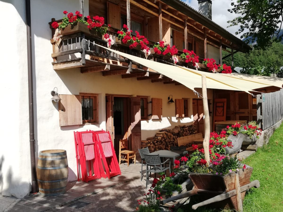 Agritur Dalaip dei Pape主图