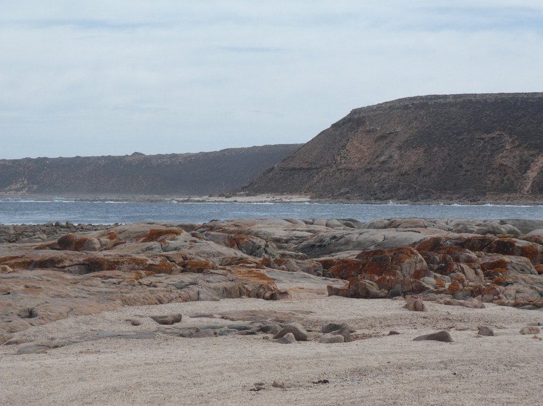 Westall Way Loop Coastal Scenic Drive-Streaky Bay必去景点