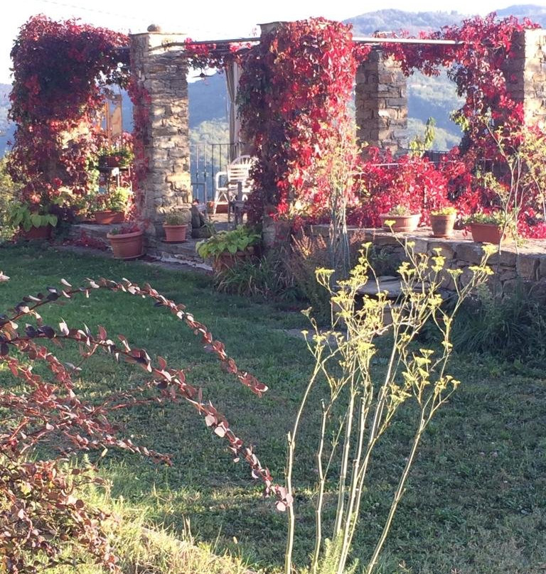 B&B Poggio delle Ginestre主图