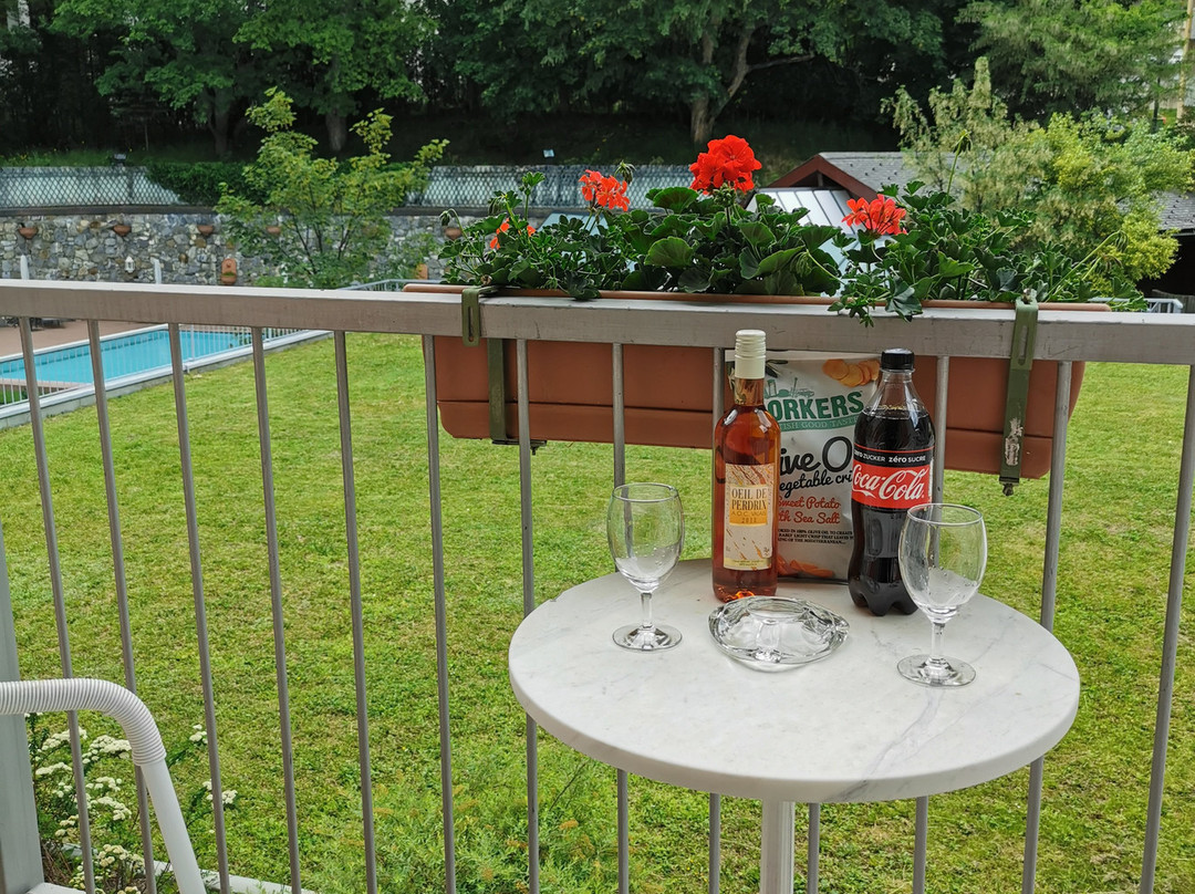 德索尔斯阿尔卑斯酒店主图