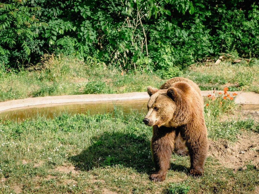 Zoo Centre Dobrich-Dobrich必去景点