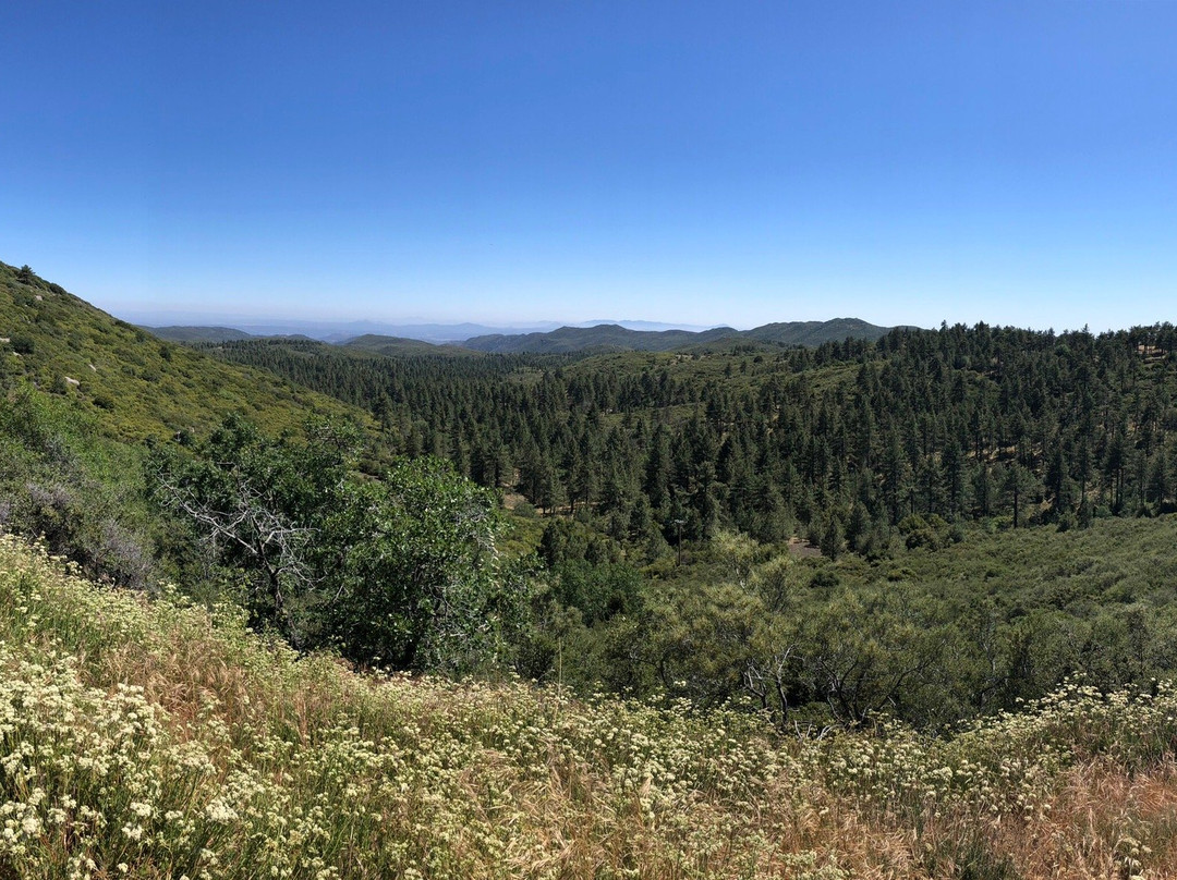 Laguna Mountain Recreation Area景点图片