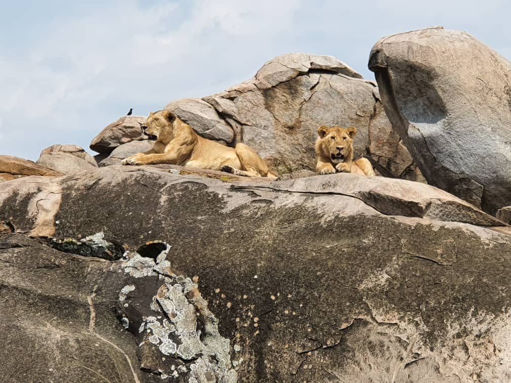 MORANI TOURS & SAFARIS LIMITED-阿鲁沙必去景点