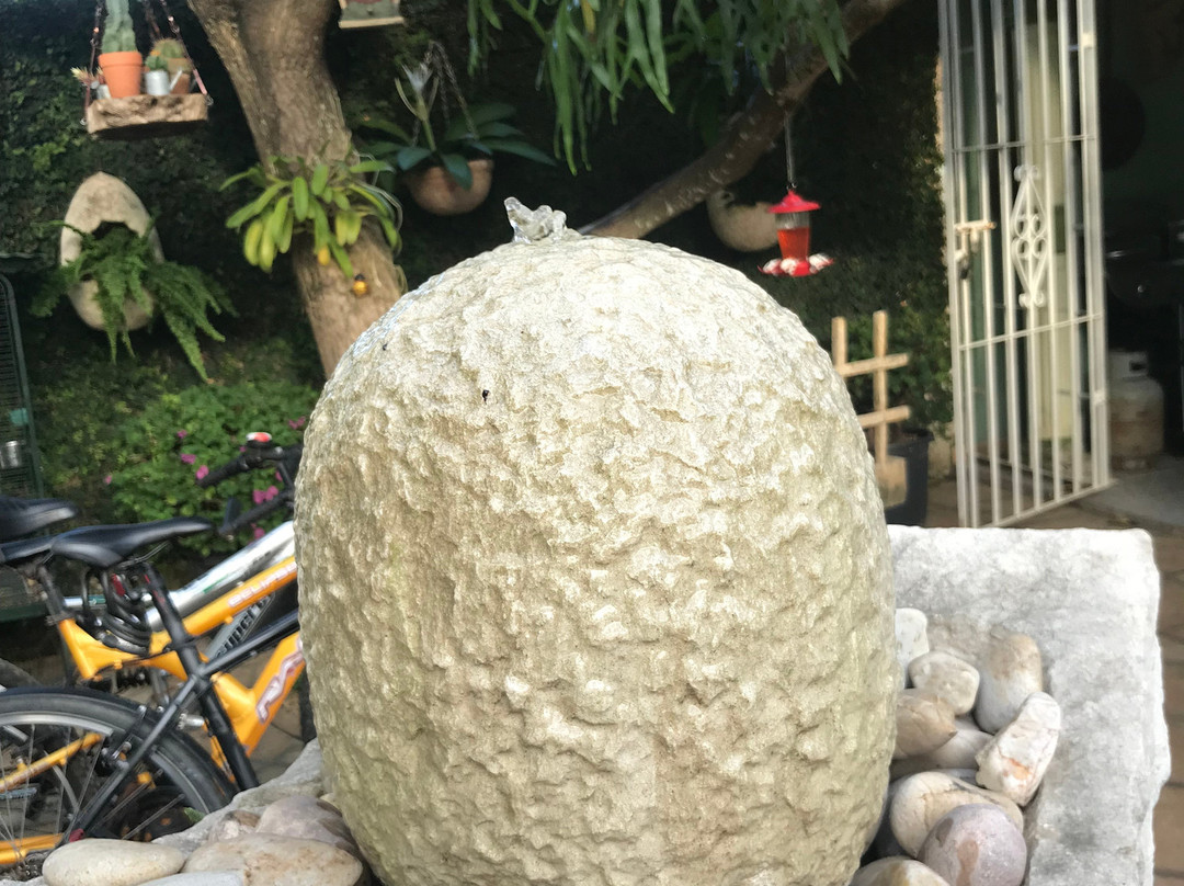 Pedrito Hostal主图