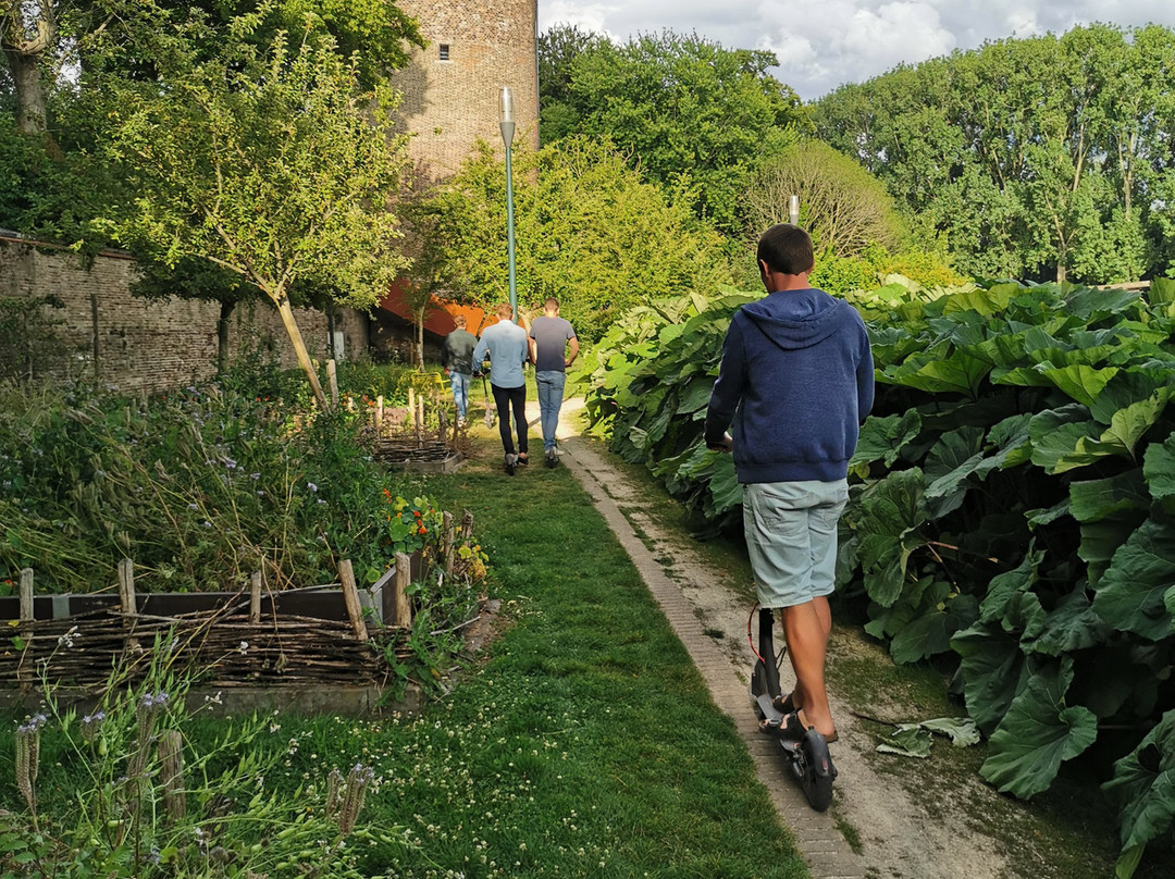 Tours Bruges-布鲁日必去景点