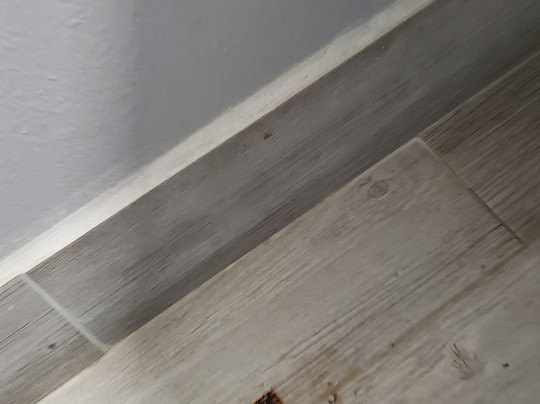 Super 8 by Wyndham Malvern主图