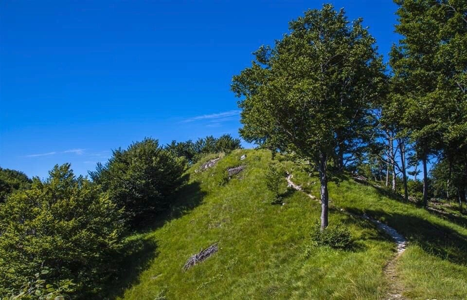 Passo del Cuvignone-Cittiglio必去景点