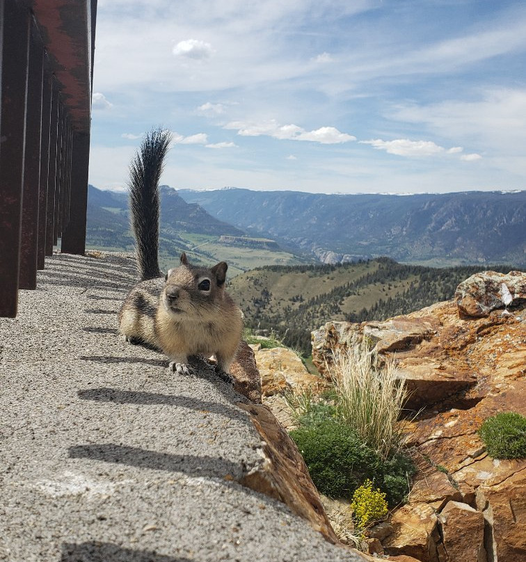Dead Indian Summit Overlook-科迪必去景点