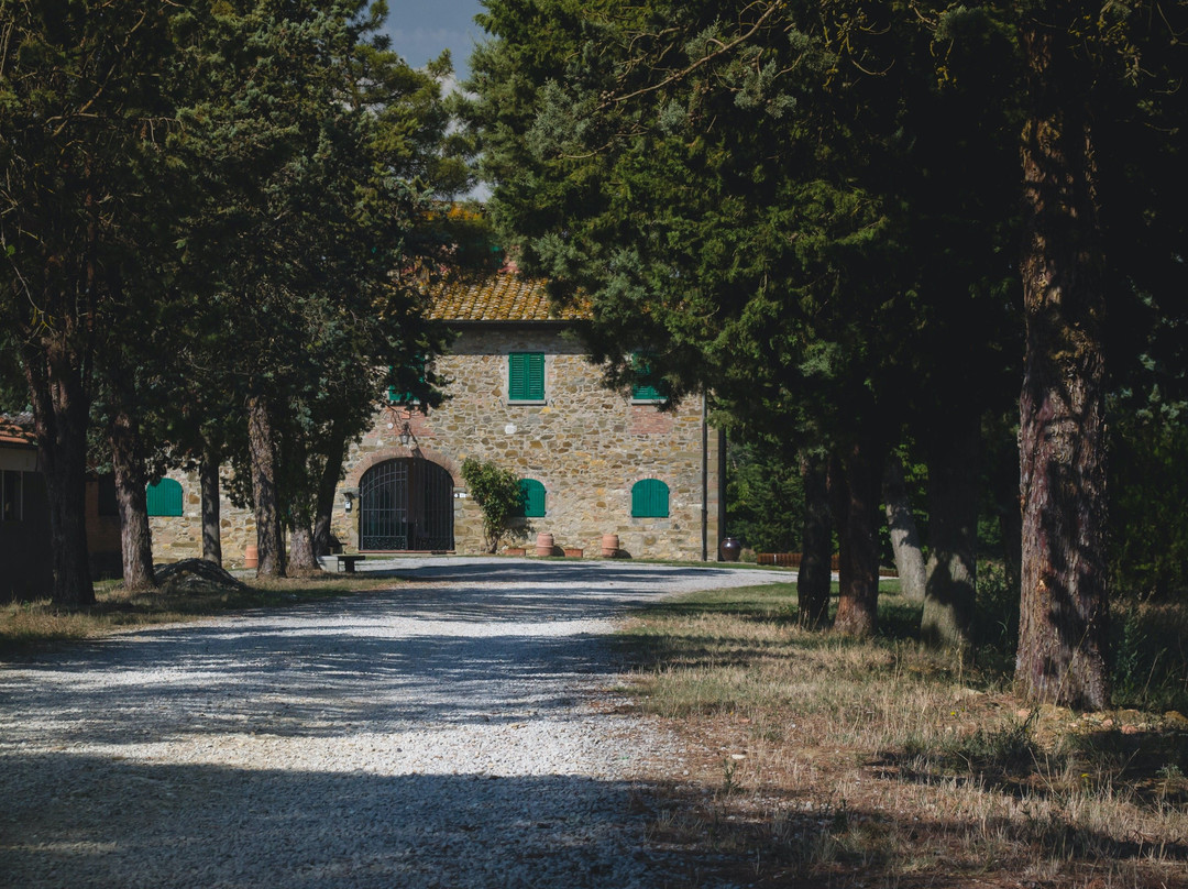 Perelli Winery景点图片