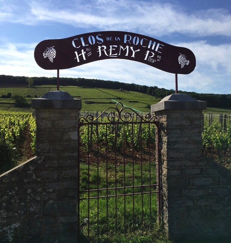 WINE & TOURS-博讷必去景点