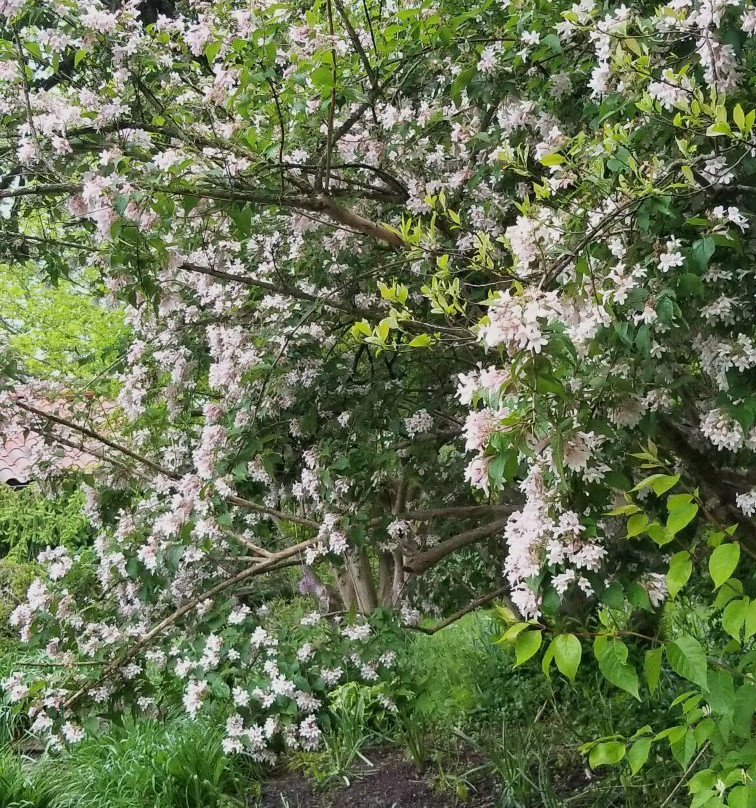 Smith Gardens-代顿必去景点