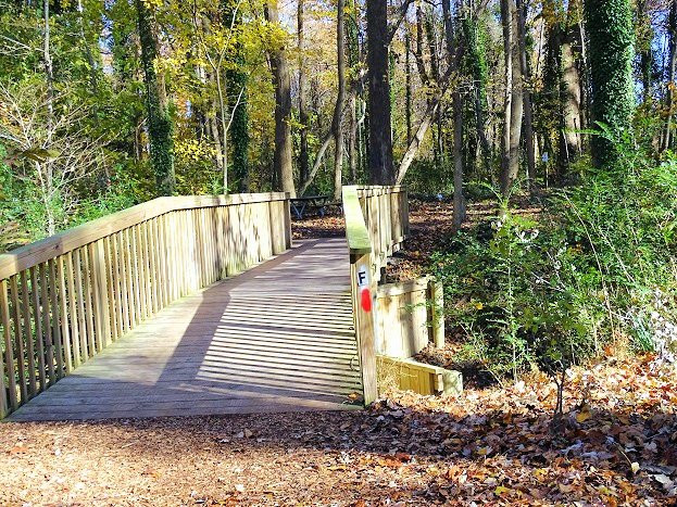 Chesapeake Arboretum景点图片