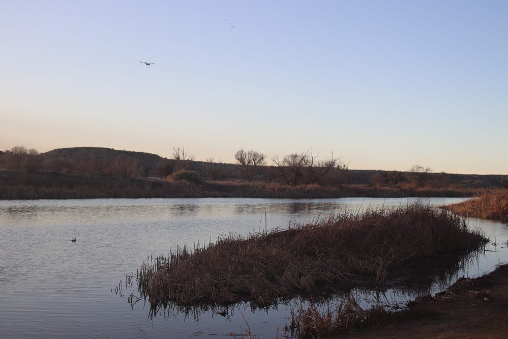 Mojave Narrows Regional Park Camping景点图片