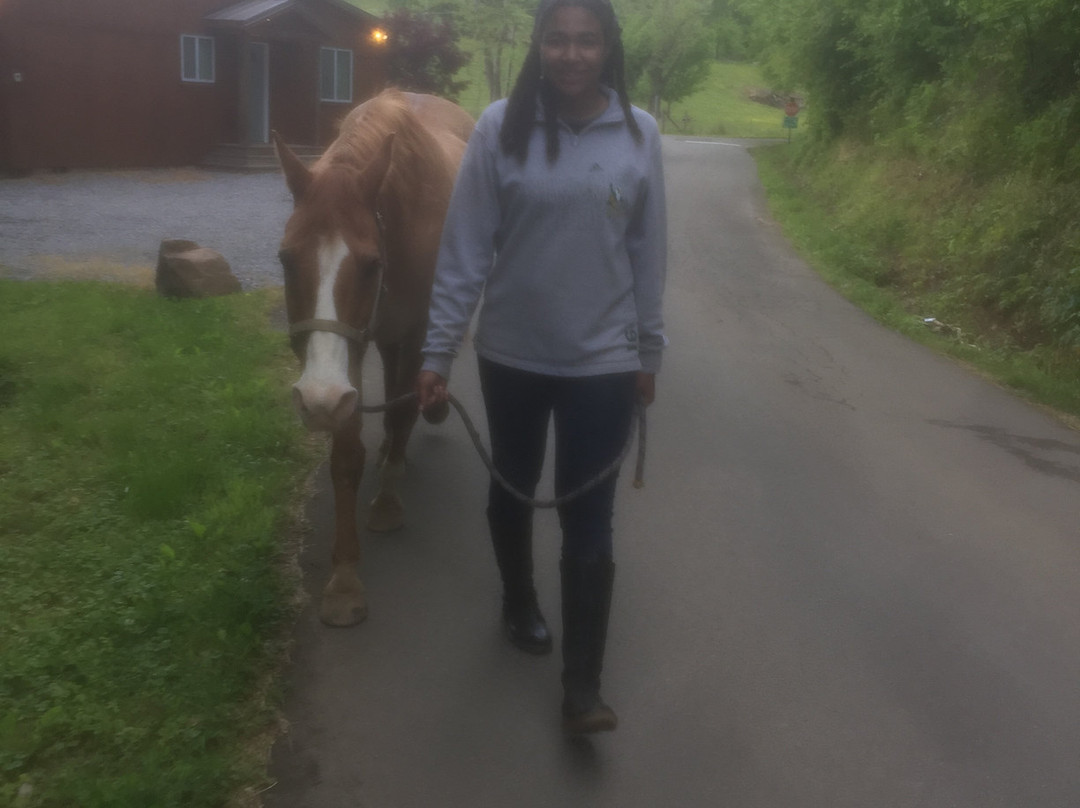 Twin Valley Bed and Breakfast and Horse Ranch主图