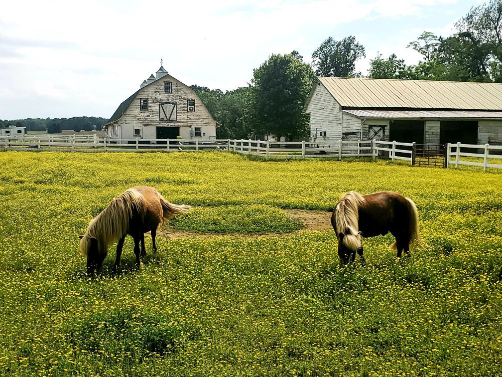 Greenwell State Park景点图片