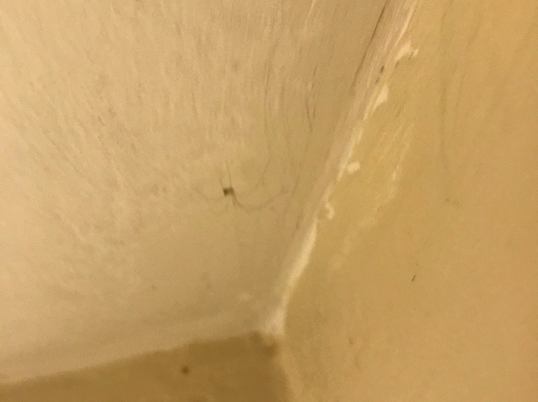 Hotel Vila Rica Flat主图