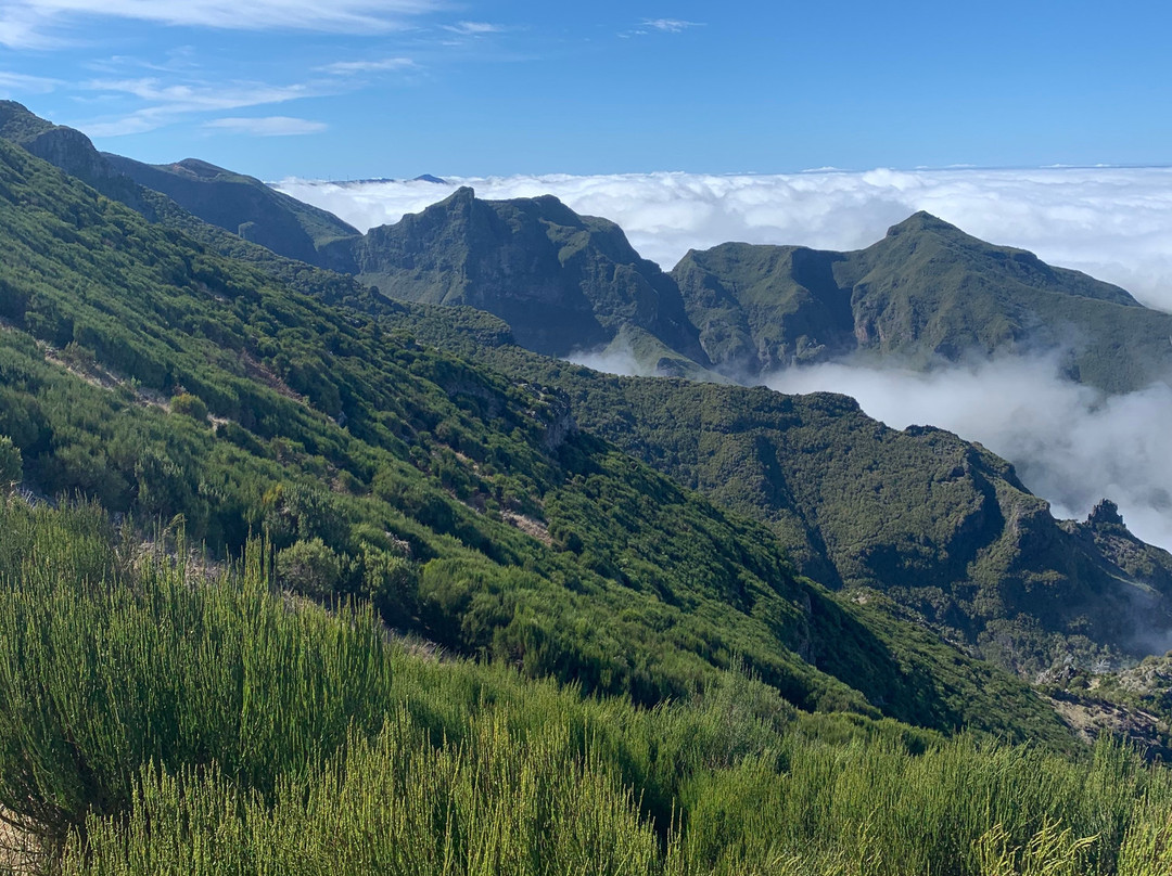 Pico Transfers-沙尔必去景点