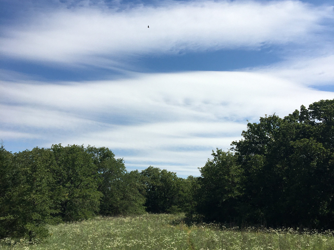 Wright Direction Horsemanship-Alvord必去景点