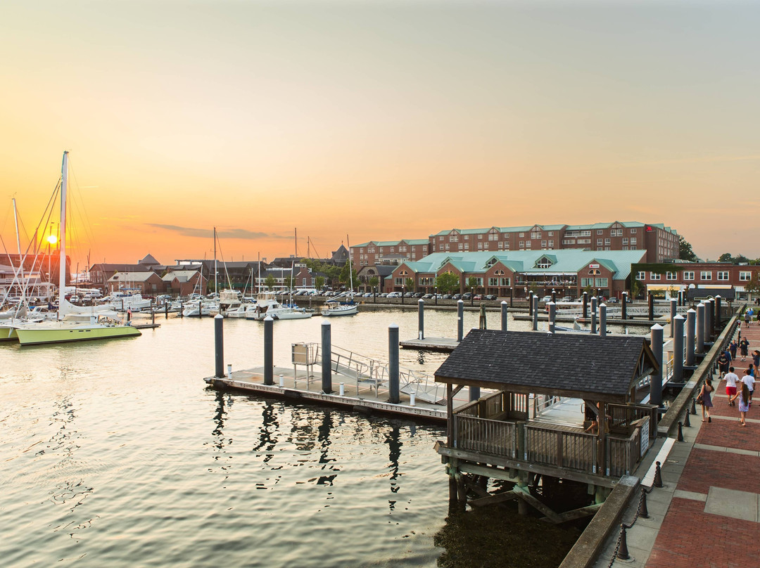 纽波特万豪酒店主图