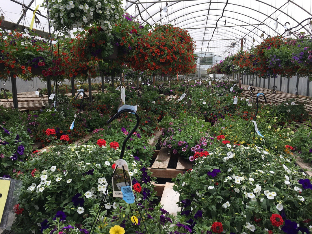 De Goede Bulb Farm & Gardens景点图片