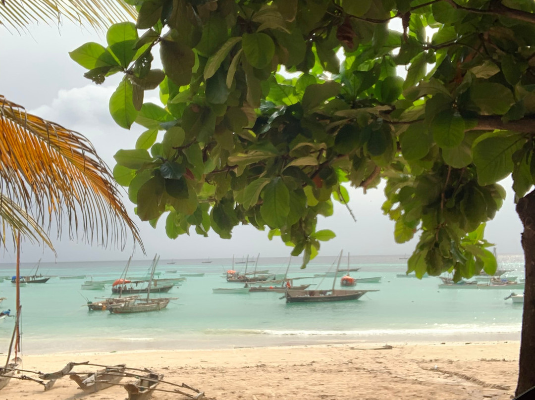 Nakupenda Paje Villa主图