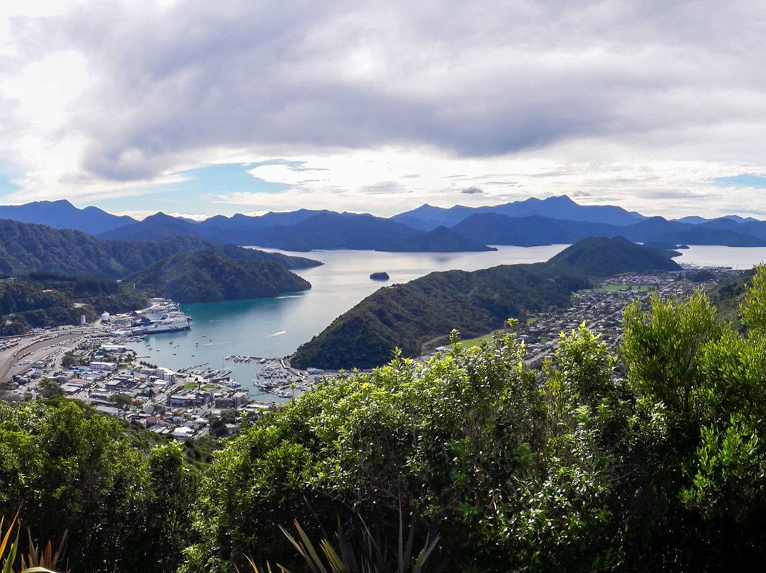 Tirohanga Track景点图片