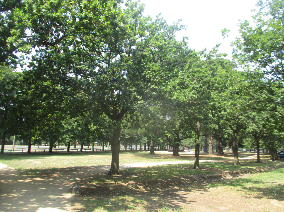 Victoria Park-巴拉瑞特必去景点