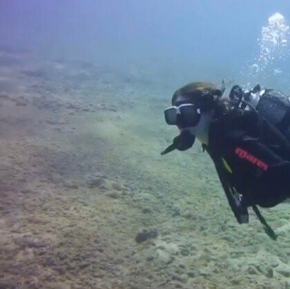 Kalamata Dive Center景点图片