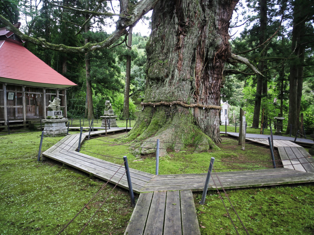 Mushigawa no Osugi-上越市必去景点