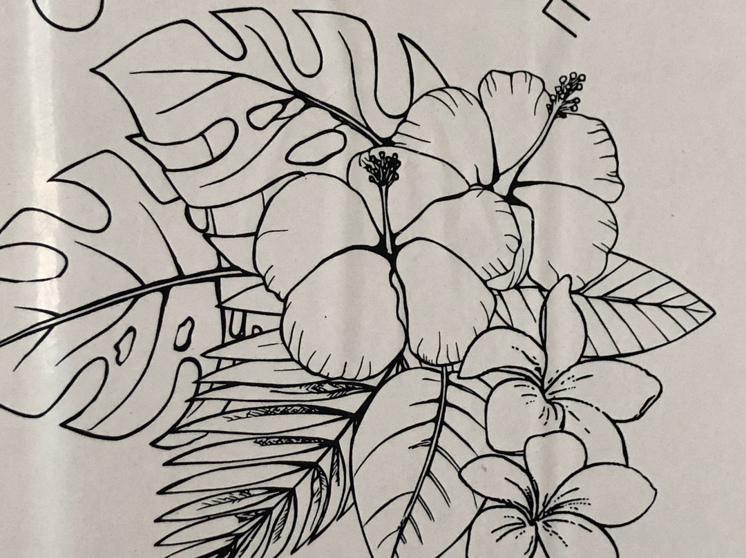 Ocean State of Mind-吕康必去景点