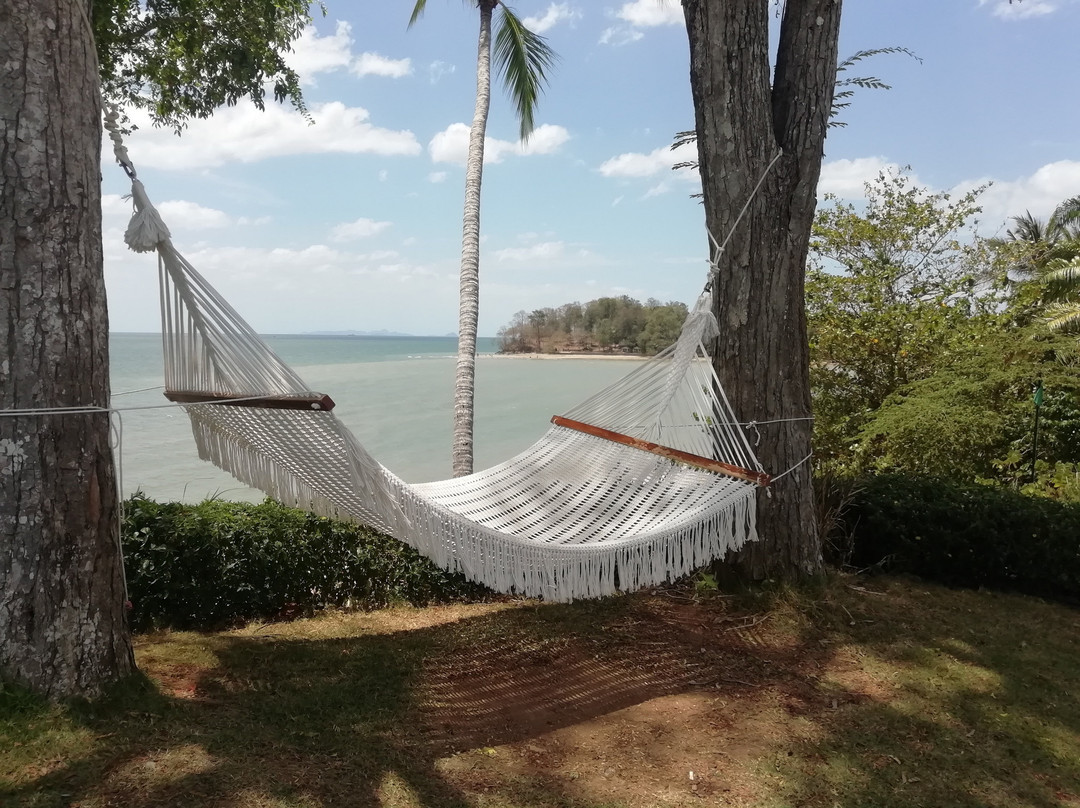 The ShellSea Krabi主图