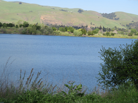 Quarry Lakes Regional Recreation Area-费利蒙必去景点