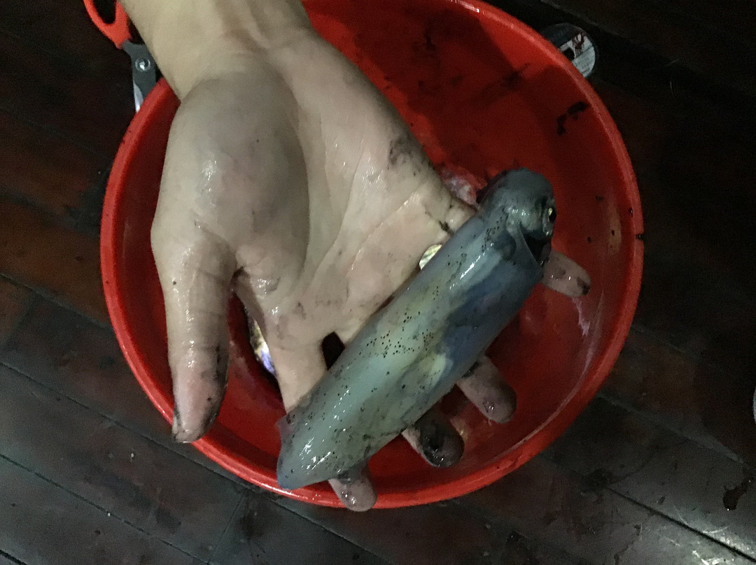 Amira Cruises-下龙湾必去景点