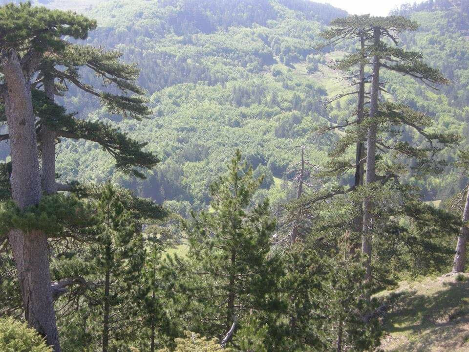 Pindos National Park景点图片