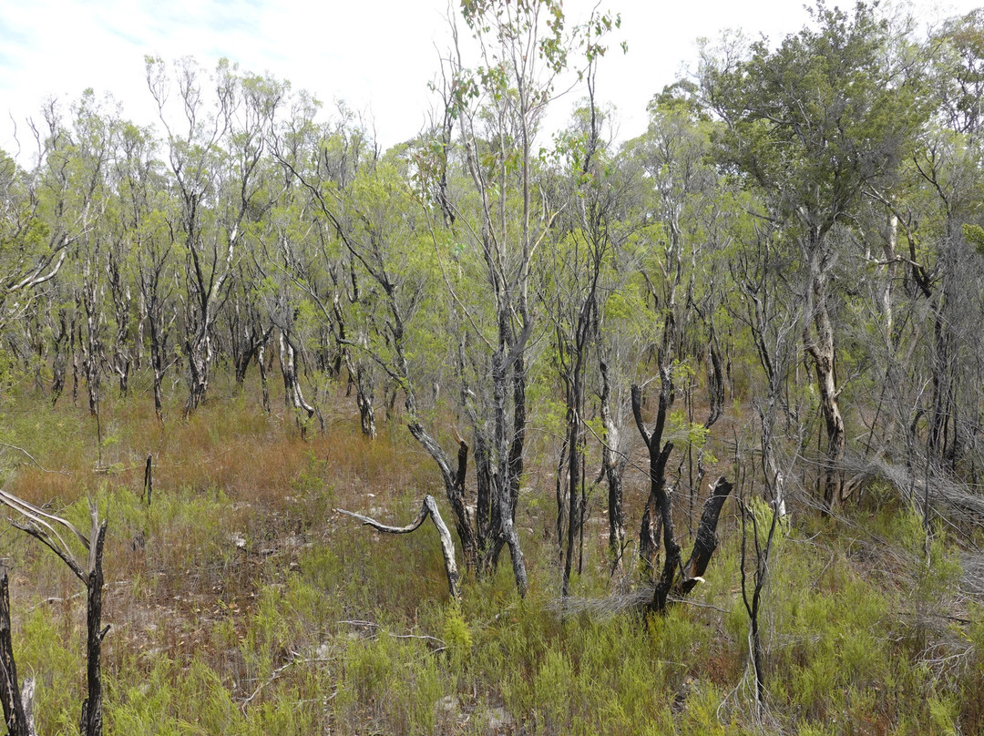 Lake Muir National Park-彭伯顿必去景点